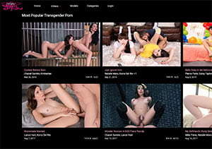 transangels is a top transgender paid porn site